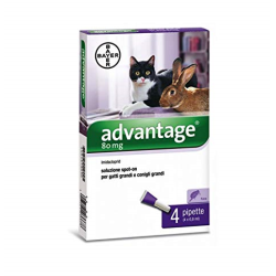 ADVANTAGE SPOT-ON GATTI 4 PIPETTE