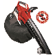 ASPIRATORE SOFFIATORE EINHELL GE-CL 36