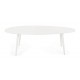TAVOLO ALLUM. RIDLEY OVALE 120X75X38h BI