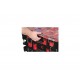 VALIGETTA MILWAUKE PACKOUT SLIM ORGANI-