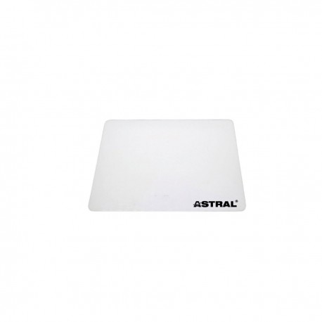 BADGE RFID 125KHZ PZ.10